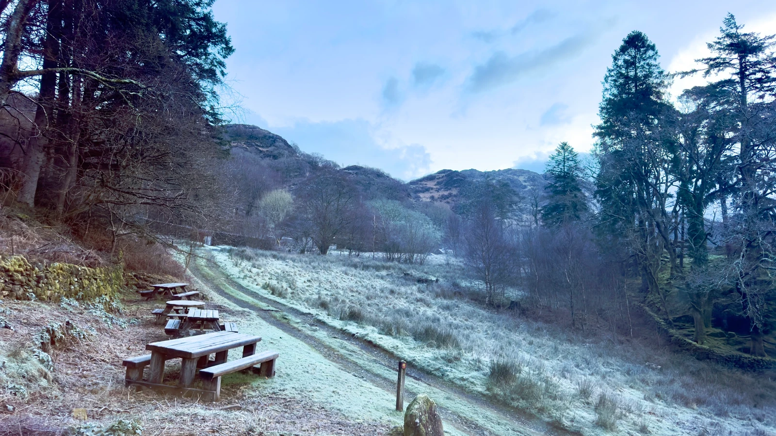 Room with a view. Early morning frost as seen from our window.