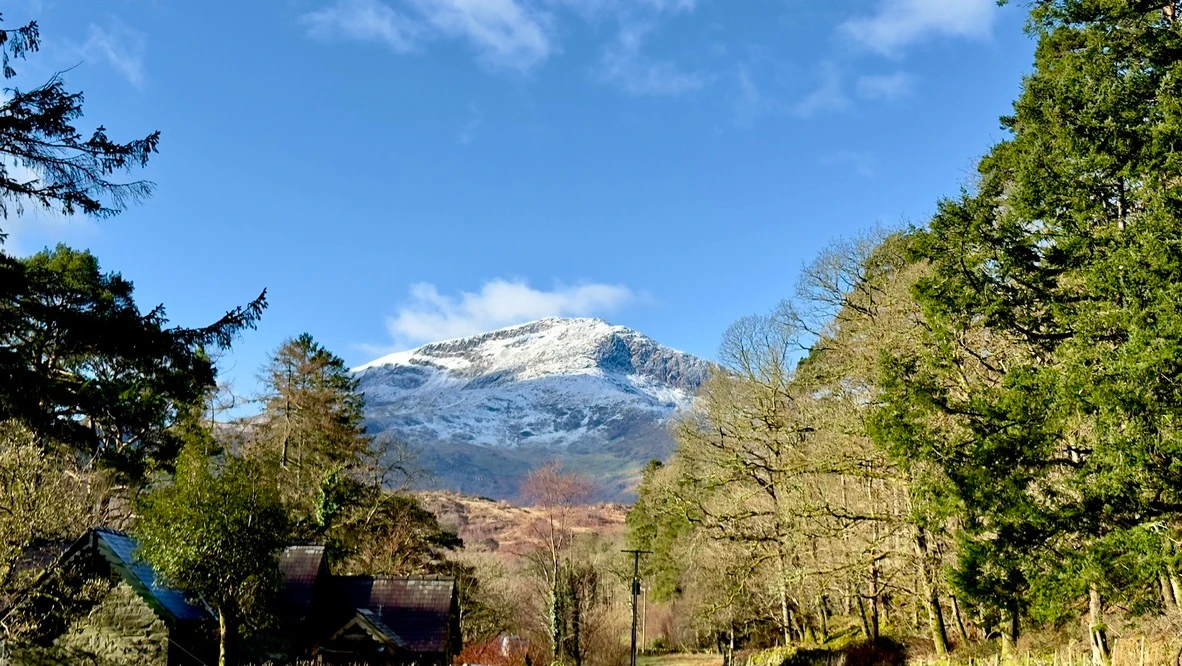 Snowcapped. A snowy shot, while there was still snow to shoot.