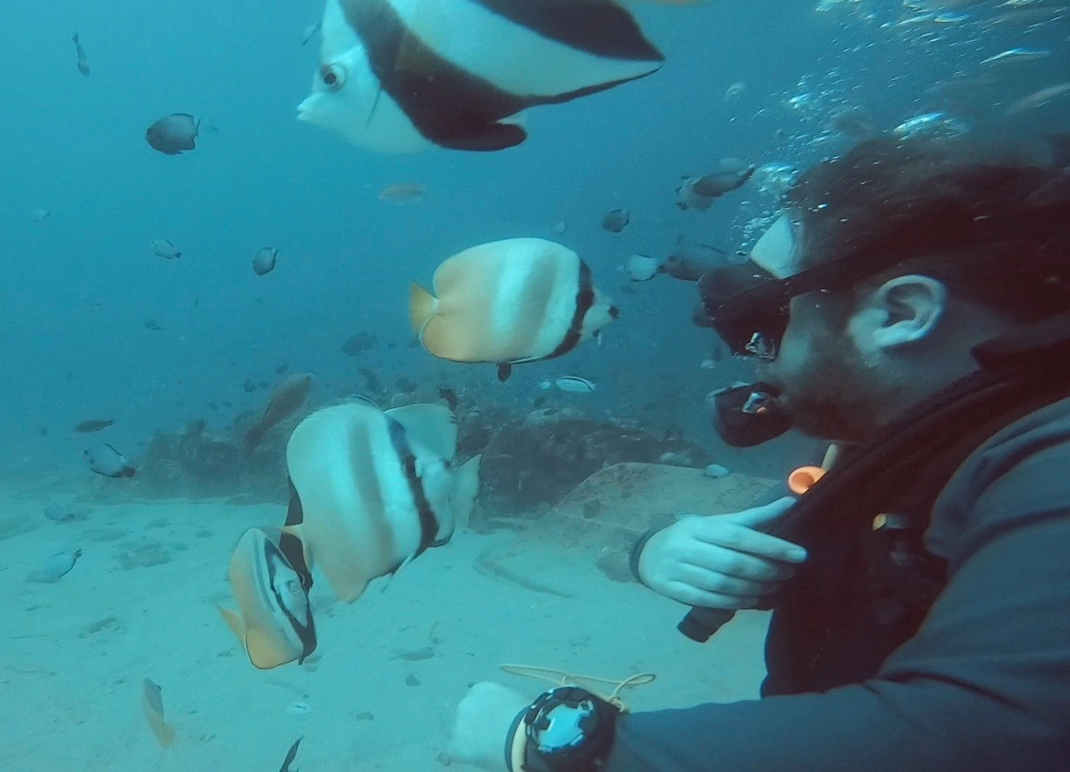 Swimming with the fishes. 