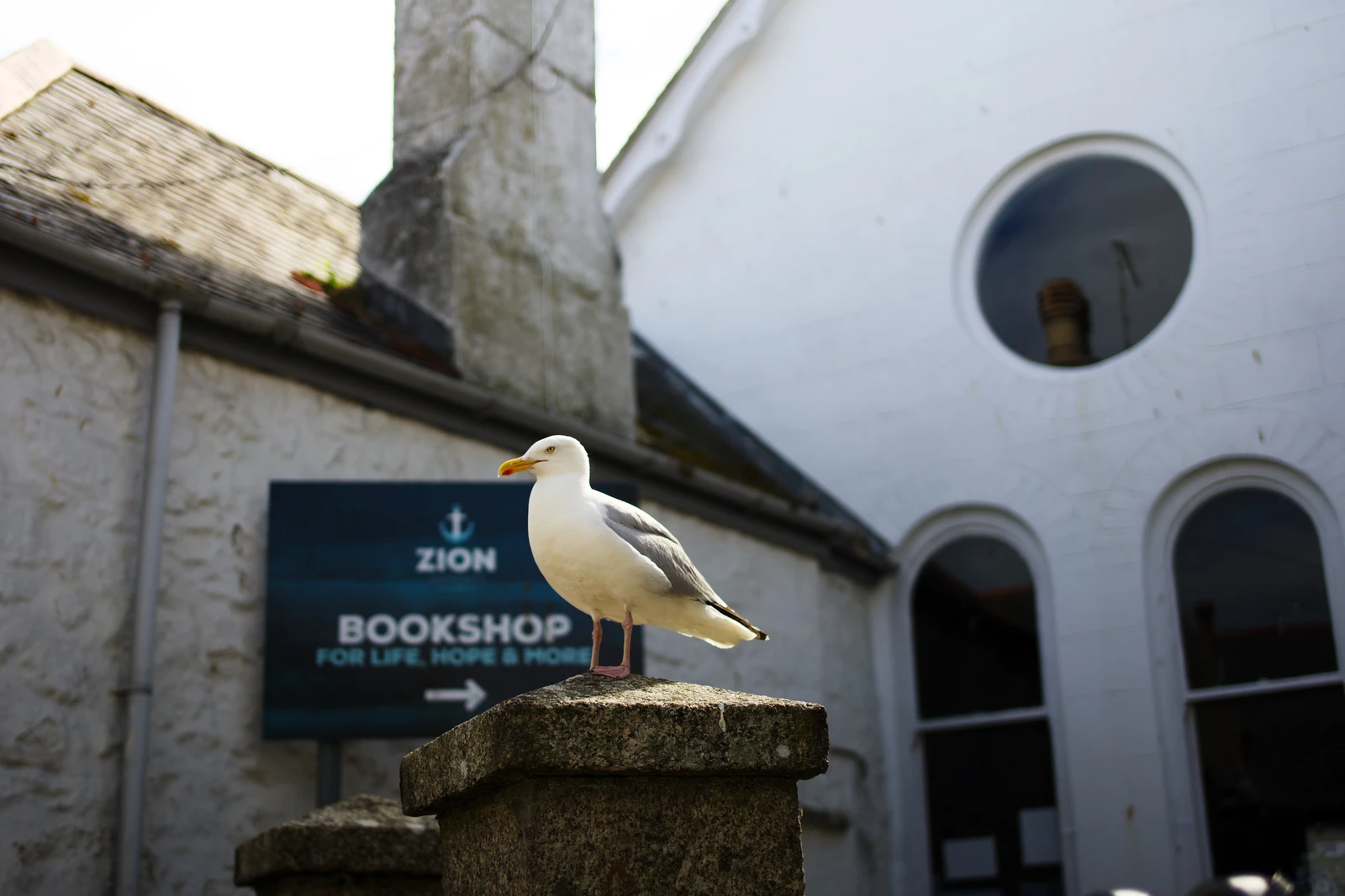 Iron like a seagull? 