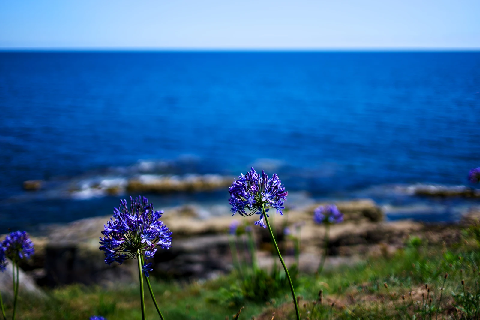 Sea breeze 