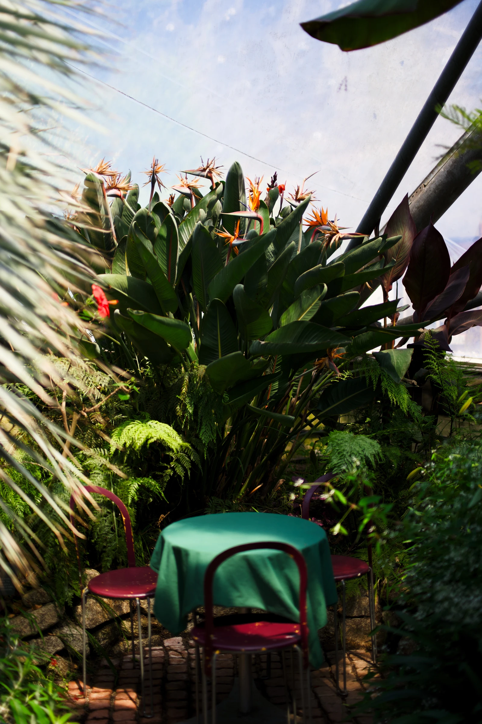 Al fresco?